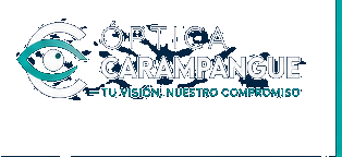 Óptica Carampangue — Tu visión, nuestro compromiso